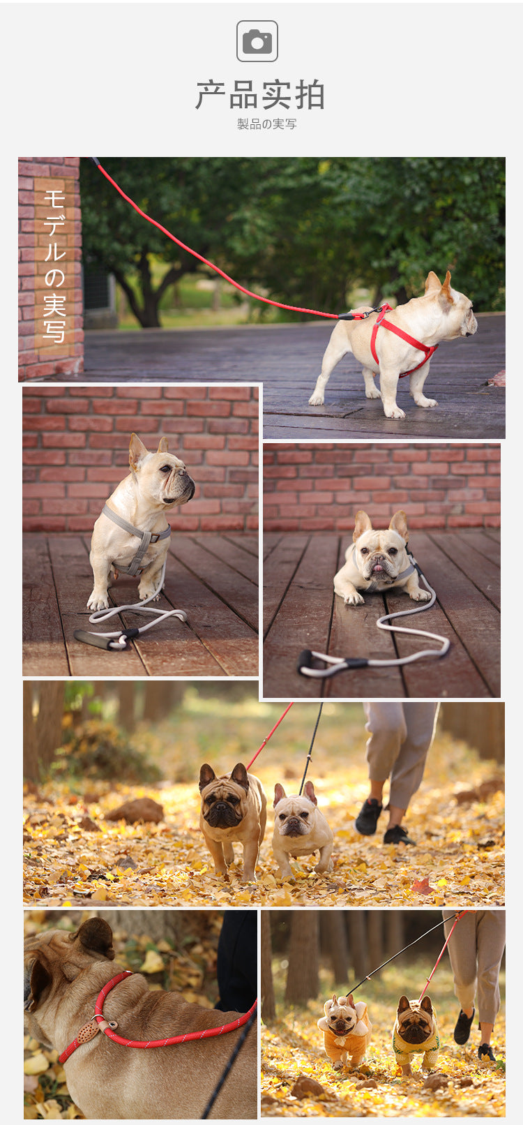 2点セット おしゃれ お出かけ リード ネコ用ハーネス ハーネス ペット用品 小型犬 犬 リーシュ 軽量 犬用ハーネス 中型犬 猫用 犬用 ペットハーネス ハーネスリードセット お散歩 簡単装着 胴輪
