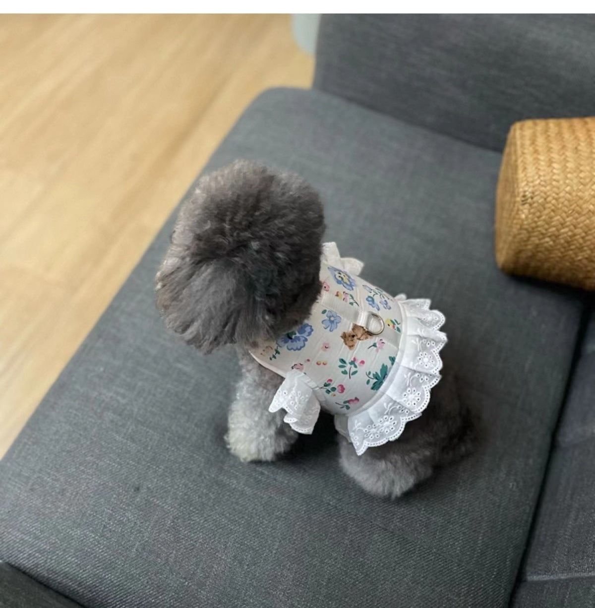 犬猫牽引ロープお姫様風通気ロープ小型犬かわいい子犬ペット胸帯猫服