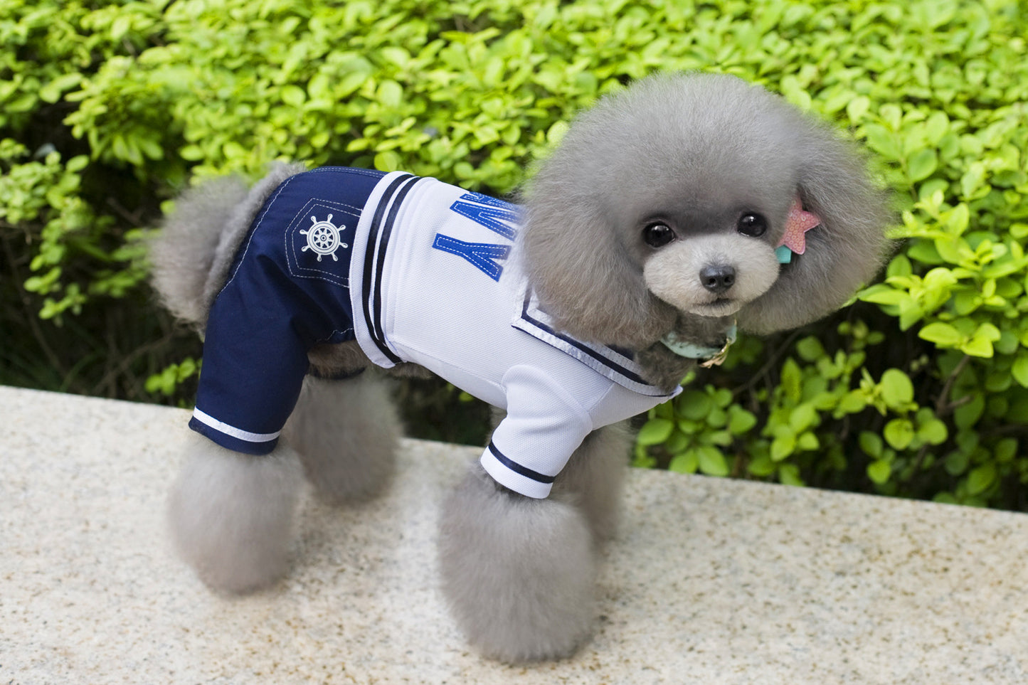 猫 犬 洋服 犬服 ペット服 大中小型犬 ペット用品 犬/猫用 犬の服 ペットウエア 小型犬 中型犬 通気 可愛い ドッグウェア トレーナー 犬 服 ワンピース サロペット ビションフリーゼ 犬猫服