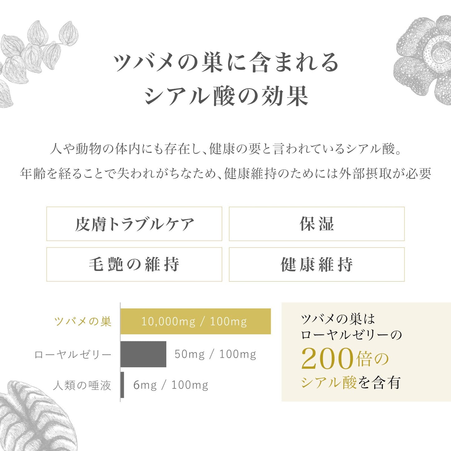 犬用 ゼリー サプリメント ペット用 被毛ケア 栄養ゼリー アナツバメの巣 保健成分 コラーゲン 糖鎖 シアル酸 保湿 水分補給 経口補水液 天然 無添加 さつまいも風味 国産 30本入 1本12g