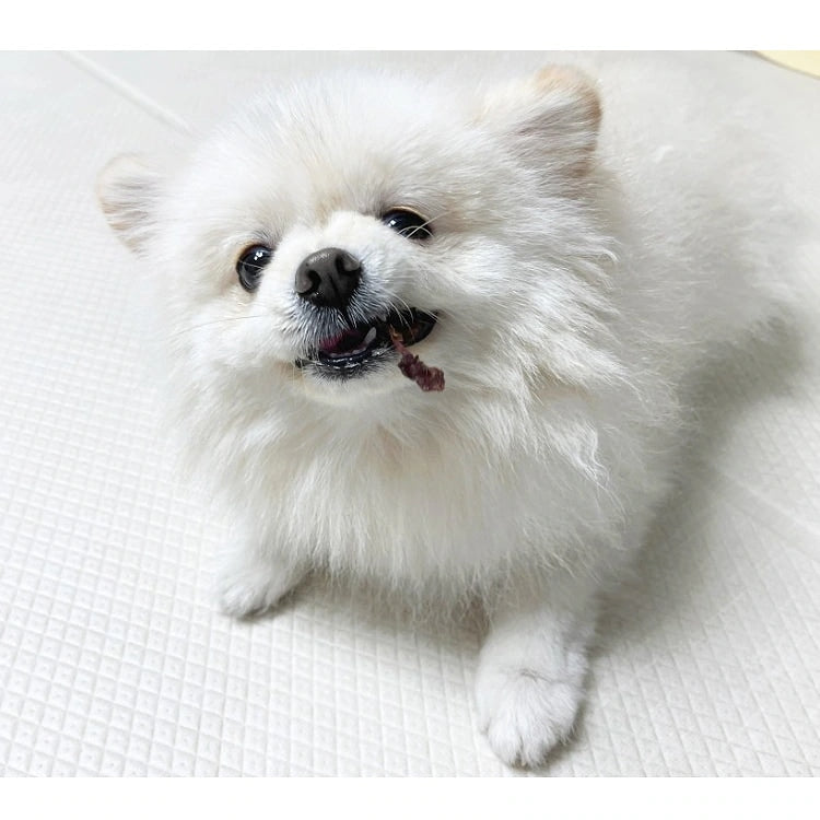 30gx3袋 手作り 国産馬肉スライス 犬 おやつ 猫 おやつ ジャーキー ペットフード 無添加 国産 日本 手作り 小型犬 中型犬 大型犬