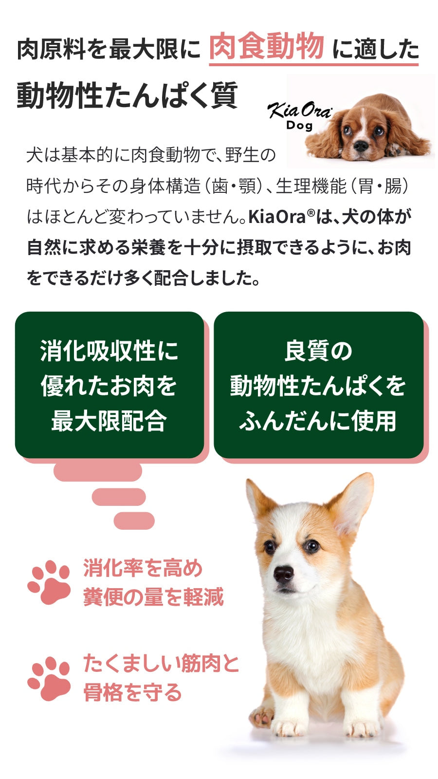 <a href="https://www.qoo10.jp/gmkt.inc/Search/brand.aspx?brandno=110758" target="_blank" class="title_brand" id="btn_brand" title="KiaOra">KiaOra</a>ドッグフード グラスフェッドビーフ&レバー 4.5kg【わんわんウエットてぃっしゅ1個付き】