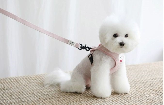 新しい犬の牽引紐のベスト式の子犬の背もたれのテディ犬のペットの胸の背もたれは犬の牽引紐を散歩します メガ割ワンピースパンツトートバッグ