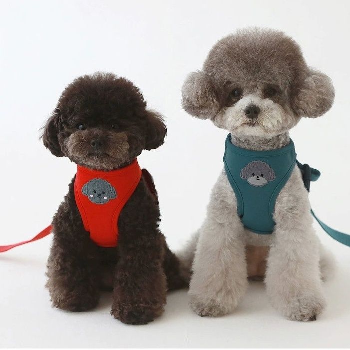 韓国版の中で小型の犬のテディは熊のコーキに比べて外出して犬を散歩します メガ割ワンピースパンツトートバッグ