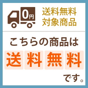 SALE処分 在庫限り 猫 トイレ システム スライド式 大型 おしゃれ メガトレー カバー 猫