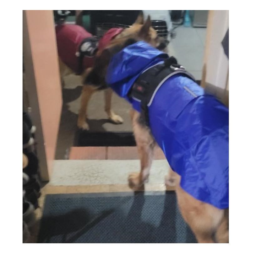 犬 レインコート 小型犬 中型犬 大型犬 防水 レインコート ポンチョ 撥水 かっぱ 合羽 雨具 カッパ レインポンチョ ペット服 犬用 レインコート