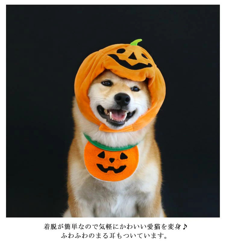 タイムセール 服 衣装 犬 帽子 ハロウィン かぼちゃ パンプキン ペット 着ぐるみ スタイ 被り物 かぼちゃ帽子 コスプレ もしろ ハロウィン 帽子 コスチューム 幽霊 犬 猫 ドッグウェア ペット
