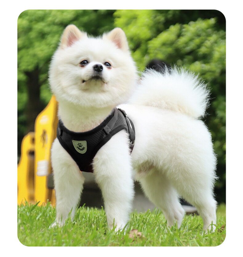 人気商品 さ犬用 ハーネス メッシュ 胴輪 反射テープ付き リード セット 超小型犬 小型犬 子犬 猫 散歩 訓練 出掛 ペット はーねす 安全 抜けない 軽量 調節可能さ犬用 ハーネスさ犬用 ハーネ