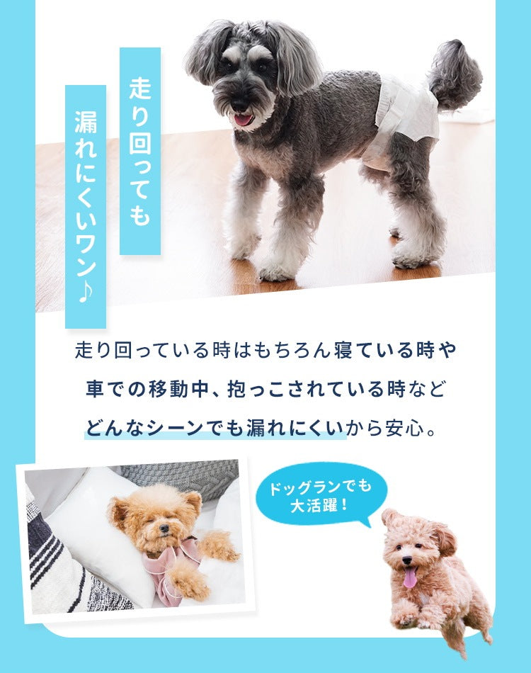 <a href="https://www.qoo10.jp/gmkt.inc/Search/brand.aspx?brandno=114450" target="_blank" class="title_brand" id="btn_brand" title="WEIMALL">WEIMALL</a>犬用おむつ 女の子 ペット 犬用 オムツ カバー 小型犬 小型犬 中型犬 テープ付き 紙オムツ 高齢犬 お出かけ 介護 生理 ナプキン しつけ お漏らし対策 紙おむつ ペットおむつ ペットオムツ