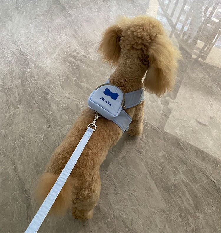 かわいいペットの犬はバックパックから散歩に出かけます