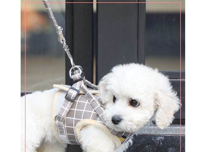 背心式犬牽引紐テディ比熊小型犬胸背ドッグラン子犬チェーンペット用品