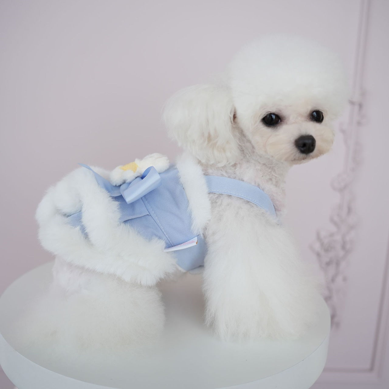 犬の服ペット犬服秋冬新作ファーボーダースリングベアドレステディビションコーギー服