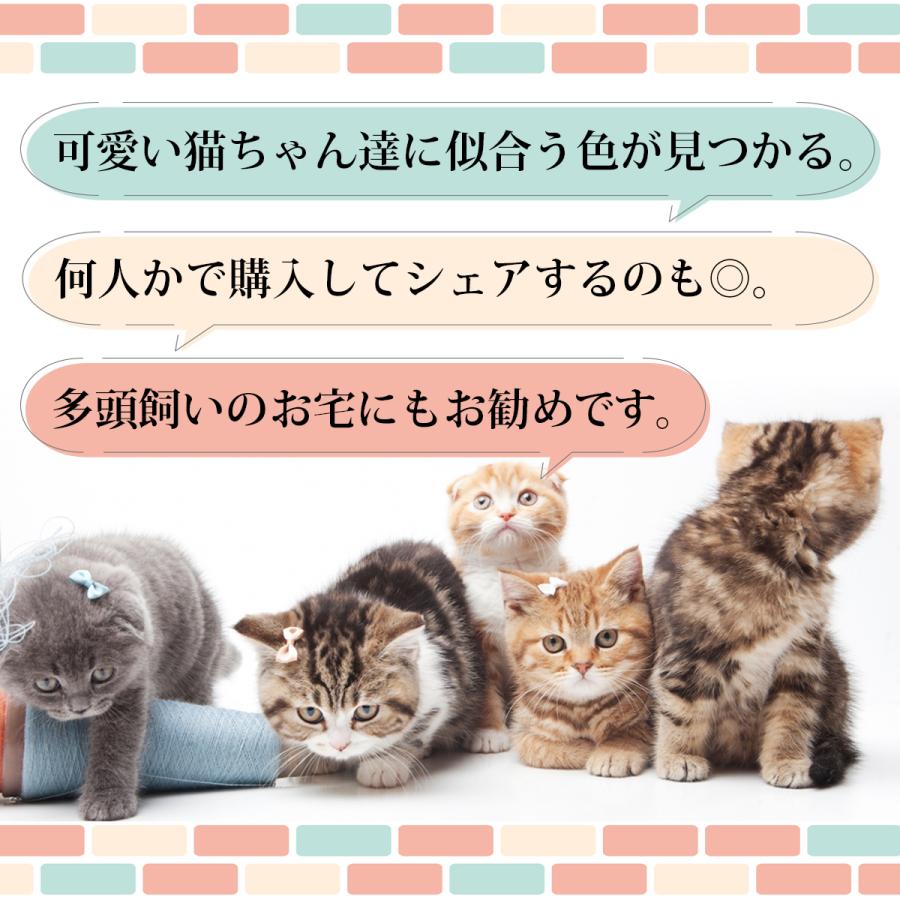 長さ調節可能 肉球柄 種類豊富 鈴付き おしゃれ 猫首輪 ねこくびわ ペット カラフルバックル 猫用