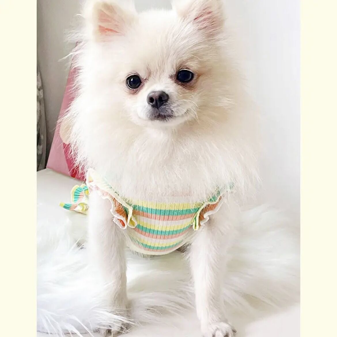 夏用 カラフルストライプ花柄ベスト 小型犬用 涼感素材 通気性抜群 トイ・プードル チワワ ポメラニアン 犬 服 犬 服 犬服 犬の服 ペット用品 ハーネス 小型犬