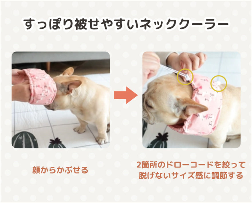 <a href="https://www.qoo10.jp/gmkt.inc/Search/brand.aspx?brandno=137296" target="_blank" class="title_brand" id="btn_brand" title="MAIBED">MAIBED</a>犬用 ネッククーラー ひんやり クール 熱中症対策 暑さ 保冷剤 冷却 夏 散歩 お出かけ アウトドア 屋外 首冷やす