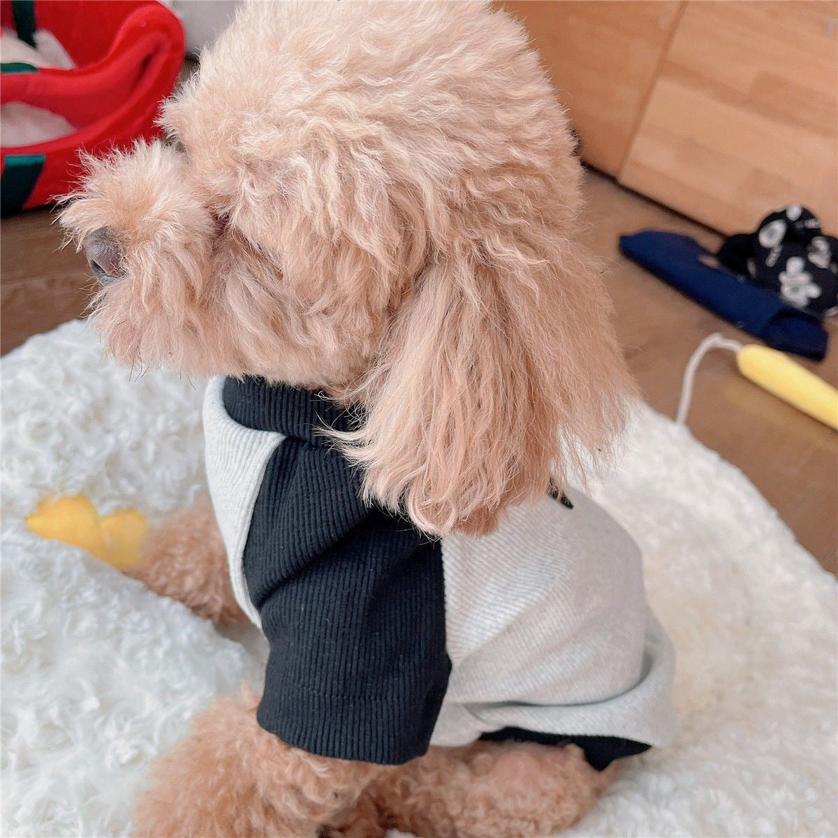猫子犬服冬服テディビションフリーゼ犬服猫服ペット秋冬服犬 服 犬 犬の服 犬 洋服 犬の服夏 犬洋服