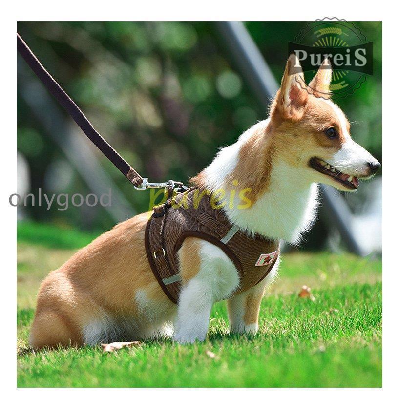 2-5日出荷 新品推奨 犬 ハーネス リード付 ペット服 ウェアハーネス 胴輪 キャット ドッグ メッシュ 一体型 胸あて式 軽量 調節可能 犬用 小型犬 ペット用品 猫用首輪 猫/犬 可愛い ポイン
