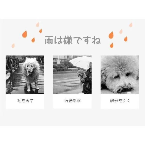 ドッグウェア 犬用 レインコート レインウェア ペット 犬の服 フード付き 犬服 雨具 ペット用品 雨の日 レインコート ワンちゃん 防水 散歩 お出かけ 梅雨対策