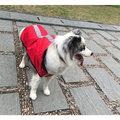 レインコート ドッグウエア 犬服 猫服 ペット服 ペットウエア 犬 猫 愛犬 ペット ペット用品 カラフル ペットグッズ 洋服 春 夏 秋 カジュアル かわいい 撥水