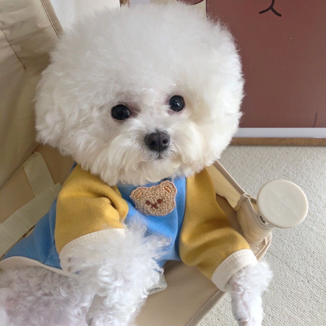 韓国 ペットウェア 新しい切り替えペット冬服 暖かいゆったりペットウェア シンプル中型犬服 可愛い