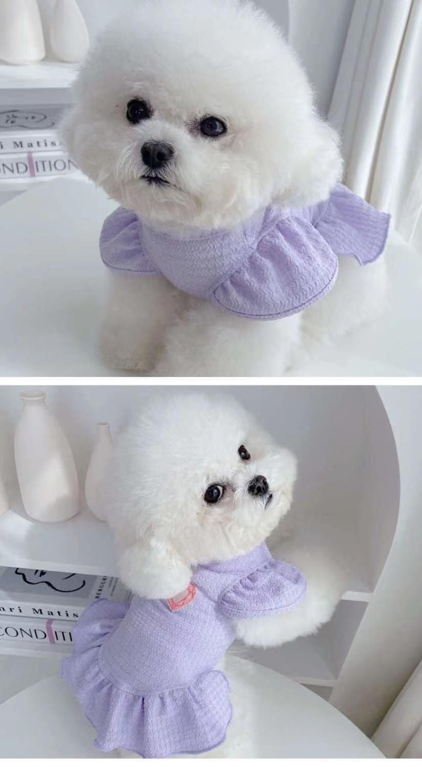 プリンセスドレス 春夏服 テディ ビションフリーゼ ポメラニアン カジュアル ドレス ペット子犬猫服 犬 服 犬の服 犬 洋服 犬の服夏 犬洋服