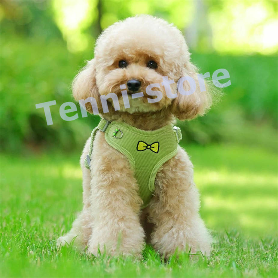 今週の新製品 タイムセール 犬 猫 ハーネス 小型犬 中型犬 猫用 ネコ 柔らかい 軽量 可愛いリボン刺繍ウェアハーネス ハーネス&リードセット 犬ハーネス 抜けない 一体型 在庫が限られている在庫が