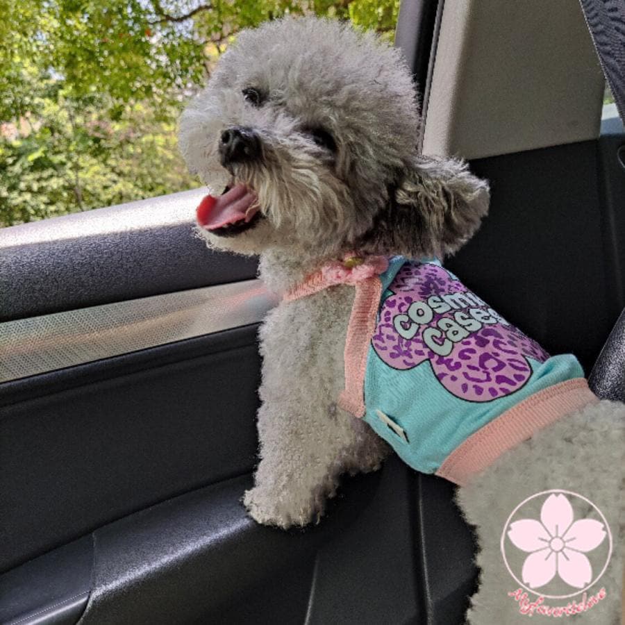 万能流行感 ペット 服 安い 犬 服 春 夏 秋 花柄 キャミソール かわいい 可愛い ハイブランド 猫 ドッグウエア