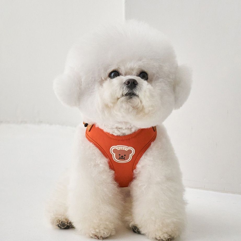 ペット胸ストラップ牽引セット小型犬外出ベスト式牽引ロープ通気テディ熊犬ロープ メガ割ワンピースパンツトートバッグ