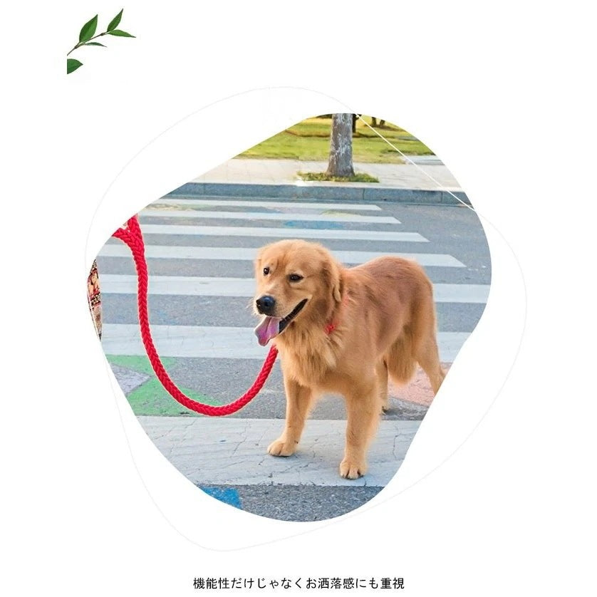 送 料 無 料!犬用 首輪 リード 2点セット 牽引ロープ ペット用品 大型犬 中型犬 牽引縄 セットアップ お洒落 ドッグウェア ハーネス 切り替え