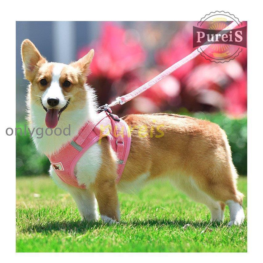 2-5日出荷 新品推奨 犬 ハーネス リード付 ペット服 ウェアハーネス 胴輪 キャット ドッグ メッシュ 一体型 胸あて式 軽量 調節可能 犬用 小型犬 ペット用品 猫用首輪 猫/犬 可愛い ポイン