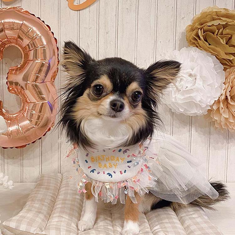 新作セール犬 バースデー よだれかけ 猫 かわいい スカーフ 小型犬 ペット用 ビブ 首飾り 誕生日 ハッピーバースデー ドッグウェア アクセサリー おしゃれ いぬ プレゼント ギフト スタイ ネコ