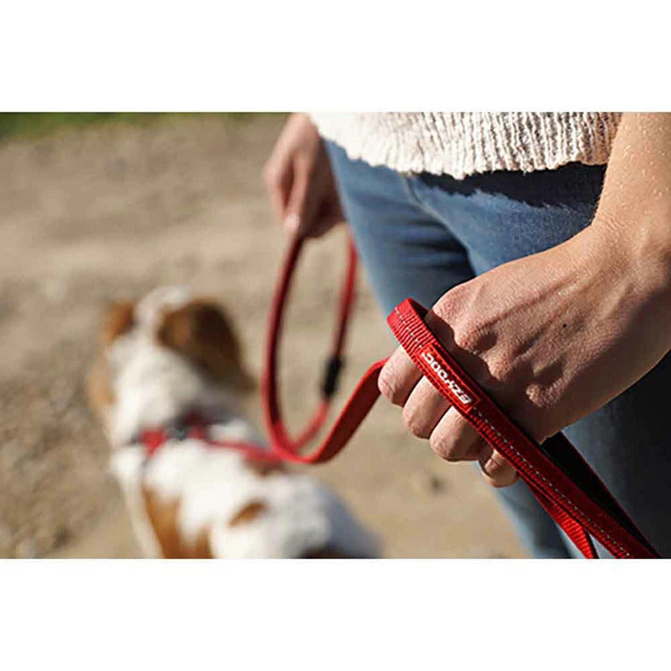 【人気商品】EZ リード ゼロショックライト 120cm EZYDOG