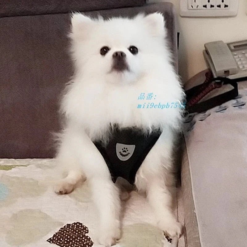 反射フレンチブルドッグパグ犬 ベストハーネスリードセット通気性ペットハーネス小中犬子犬猫ウォーキング