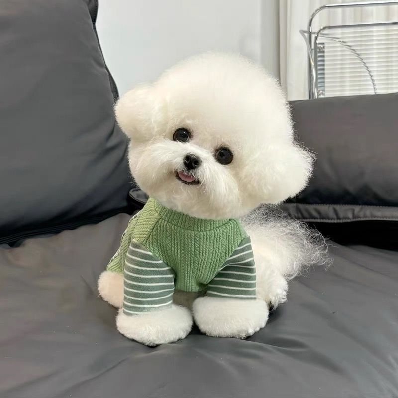 かわいい 猫 犬の服 秋冬物 新しいスタイル ビションフリーゼ テディ シュナウザー ペット用あったかボトムシャツ ホームウェア 犬 服 犬の服 犬 洋服 犬の服夏 犬洋服