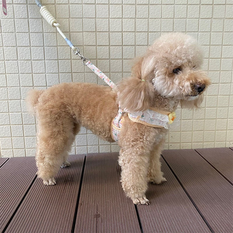 犬の牽引紐レースの胸の帯のテディ比熊の小型犬の牽引犬の縄は犬のひもの犬のチェーンを散歩します