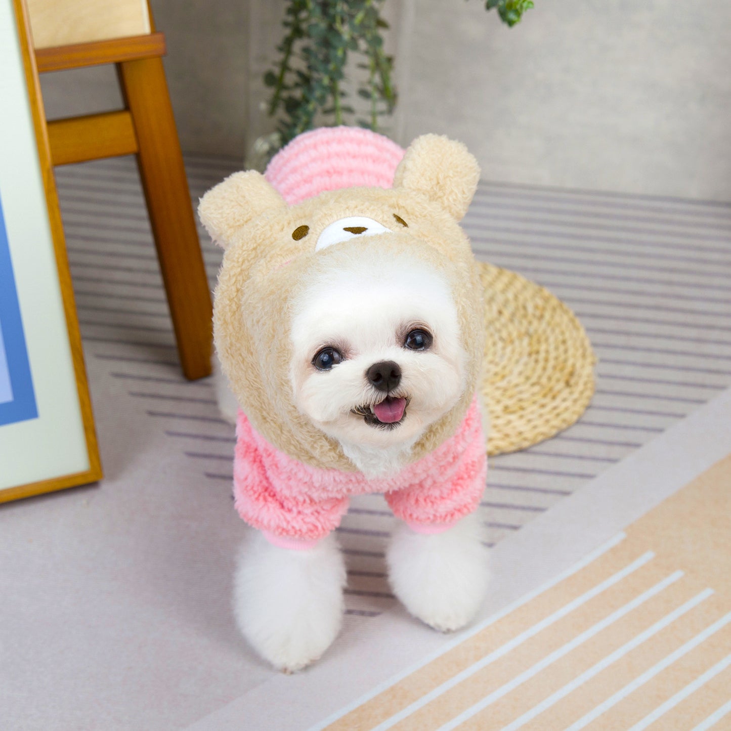 人気犬の服 ペット服 小型犬 猫 着ることができる 秋冬 暖かい 快適 レインボーベア ストライプ フリース コート
