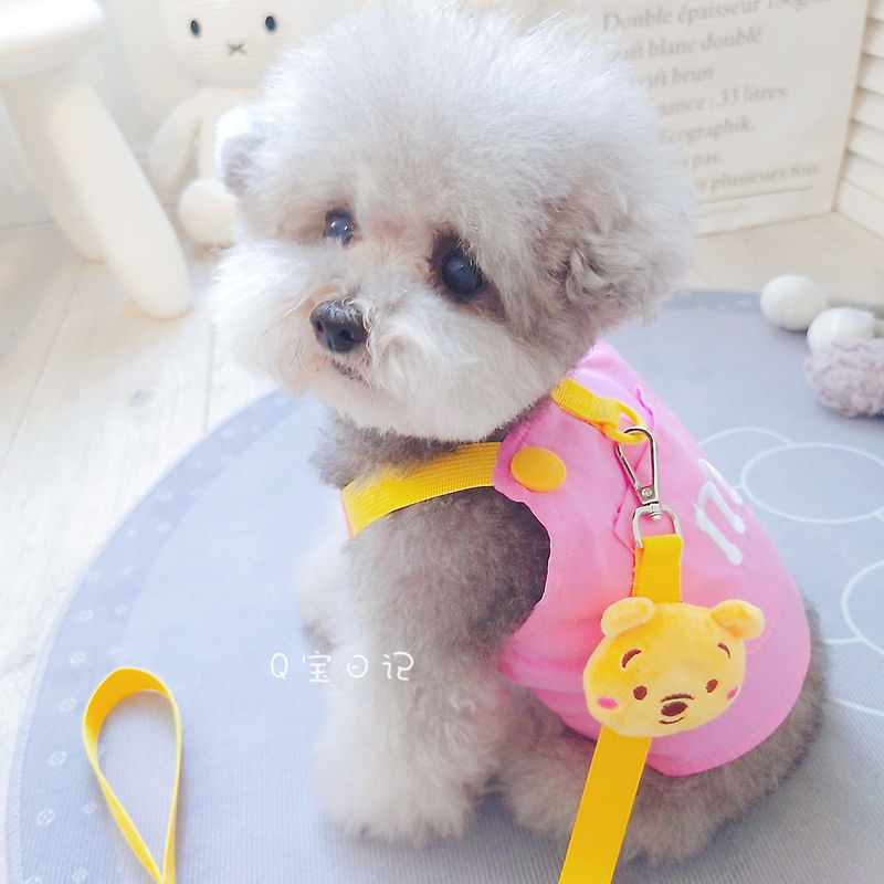ペットの猫の小型犬のテディの犬の胸のストラップの牽引ロープのベスト式のドッグランの犬のひものかっこいいかわいい衝突色 メガ割ワンピースパンツトートバッグ