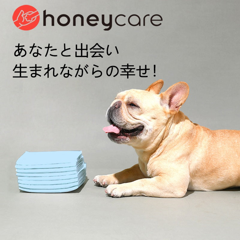 <a href="https://www.qoo10.jp/gmkt.inc/Search/brand.aspx?brandno=109151" target="_blank" class="title_brand" id="btn_brand" title="Honeycare">Honeycare</a>ペットシーツ 超薄型 ペットシート犬猫 サイズ選択可 レギュラー800枚 ワイド400枚 スーパーワイド200枚