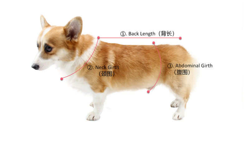 レジャー 犬のレインコート ケープ お腹カバー コギ テディ ゴールデンレトリバー ペット用レインコート 着脱しやすい 犬の服