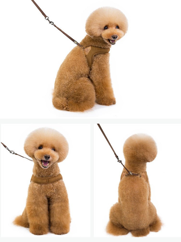 ハーネスリード ペット用品 犬 小型犬 2点セット お散歩 お出かけ アウトドア カジ