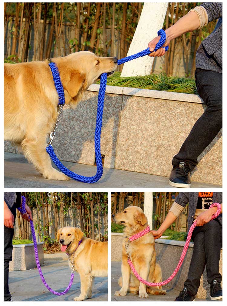 メガ割2025福袋-リードと首輪セット 犬 ドッグ リード 首輪 2点セット ドック用品 犬用 首輪 リード リードセッ837910
