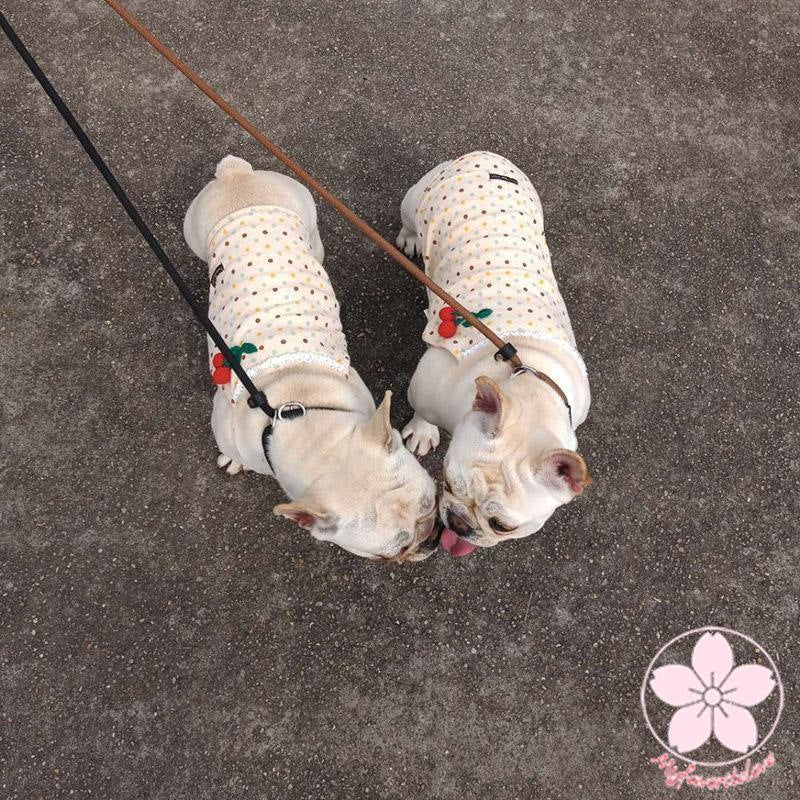 新作登場 ペット 服 安い 犬 春 夏 長め 短め キャミソール かわいい 可愛い ハイブランド 猫 ドッグ ウェア