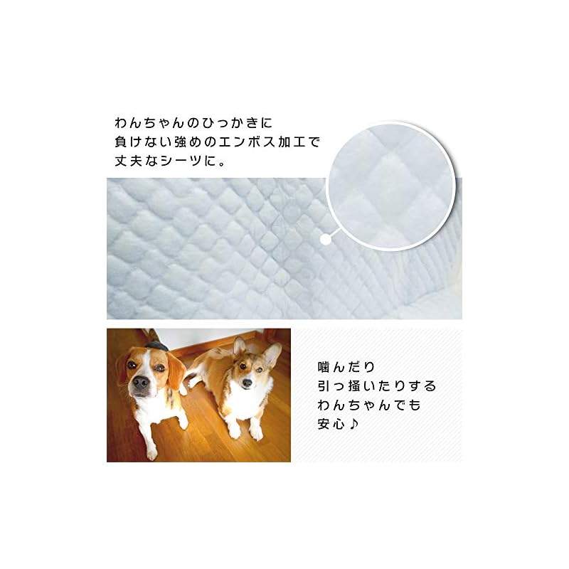 【即納】【Amazon.co.jp限定】 Smart Basic アイリスオーヤマ ペットシーツ 超厚型 お徳用 ワイド 100枚入 (x 1) (ケース販売)