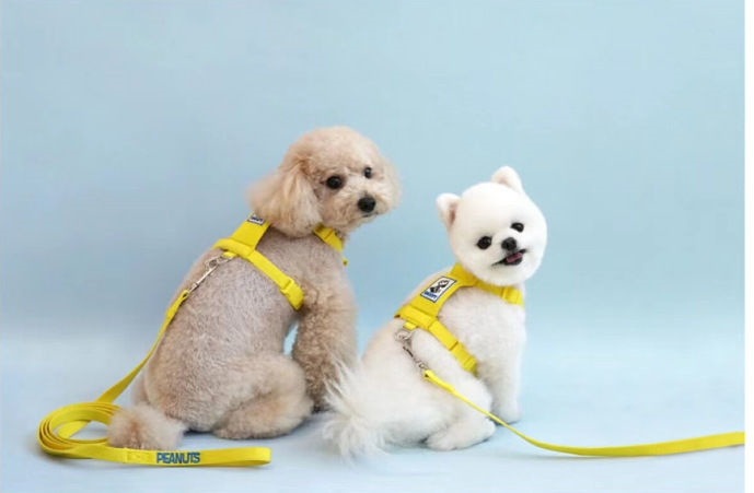 犬の牽引紐夏の涼しいタイプのかわいいスヌーピー胸のベルトは犬のリュックサックを散歩します