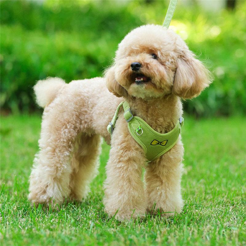 中型犬小型犬散歩グッズ 簡単装着 犬 脱げない 首輪 4カラー 苦しくない ハーネスリードセット おしゃれな