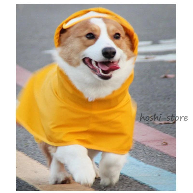 犬用レインコート 犬レインコート ポンチョ型 ドッグウェア 犬カッパ 雨具 雨対策 散歩 お出かけ 腹当て 透明フード付き 小型犬 中型犬 大型犬