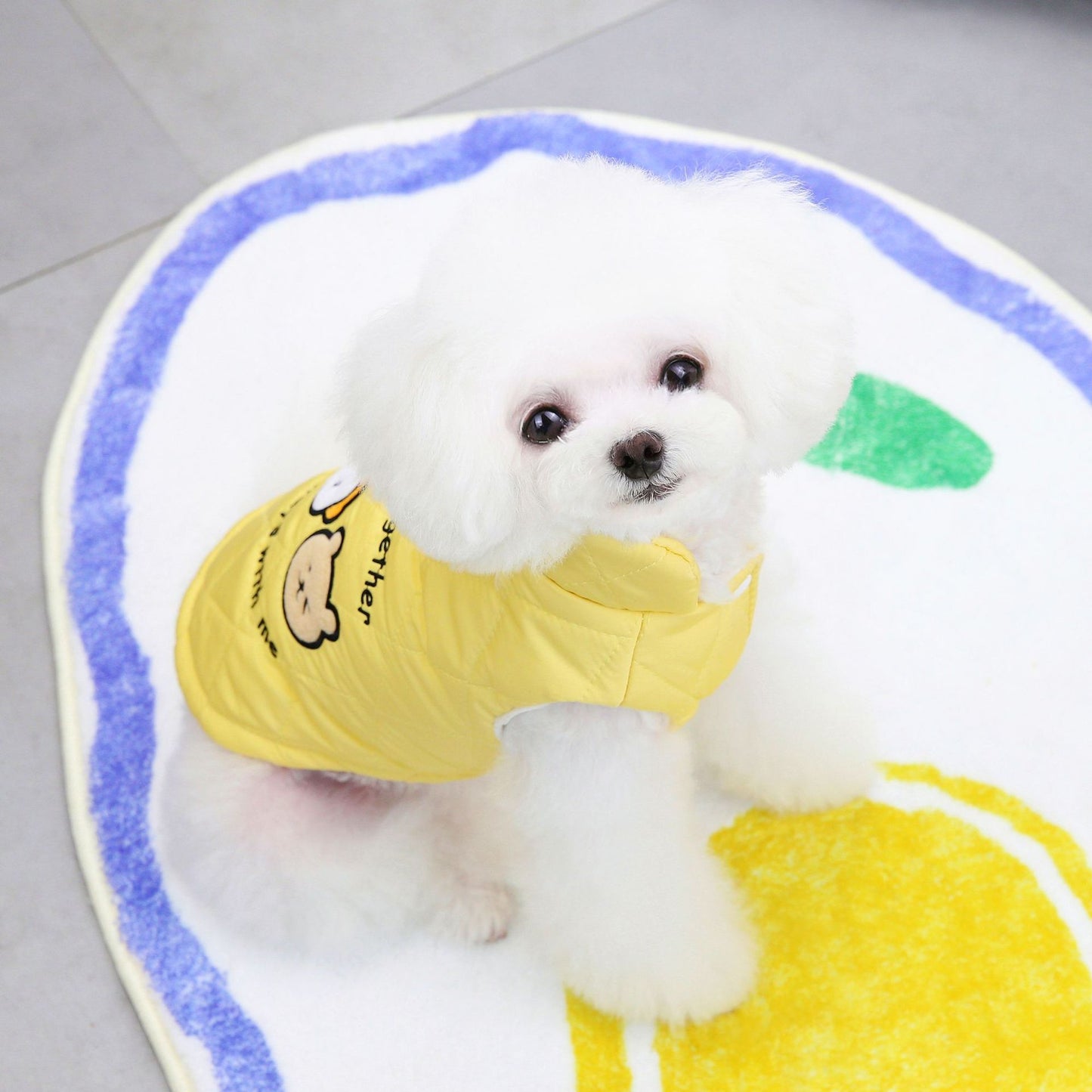 猫 犬 洋服 犬服 ペット服 大中小型犬 ペット用品 犬/猫用 犬の服 ペットウエア 小型犬 中型犬 通気 可愛い ドッグウェア トレーナー 犬 服 ワンピース サロペット ビションフリーゼ 犬猫服
