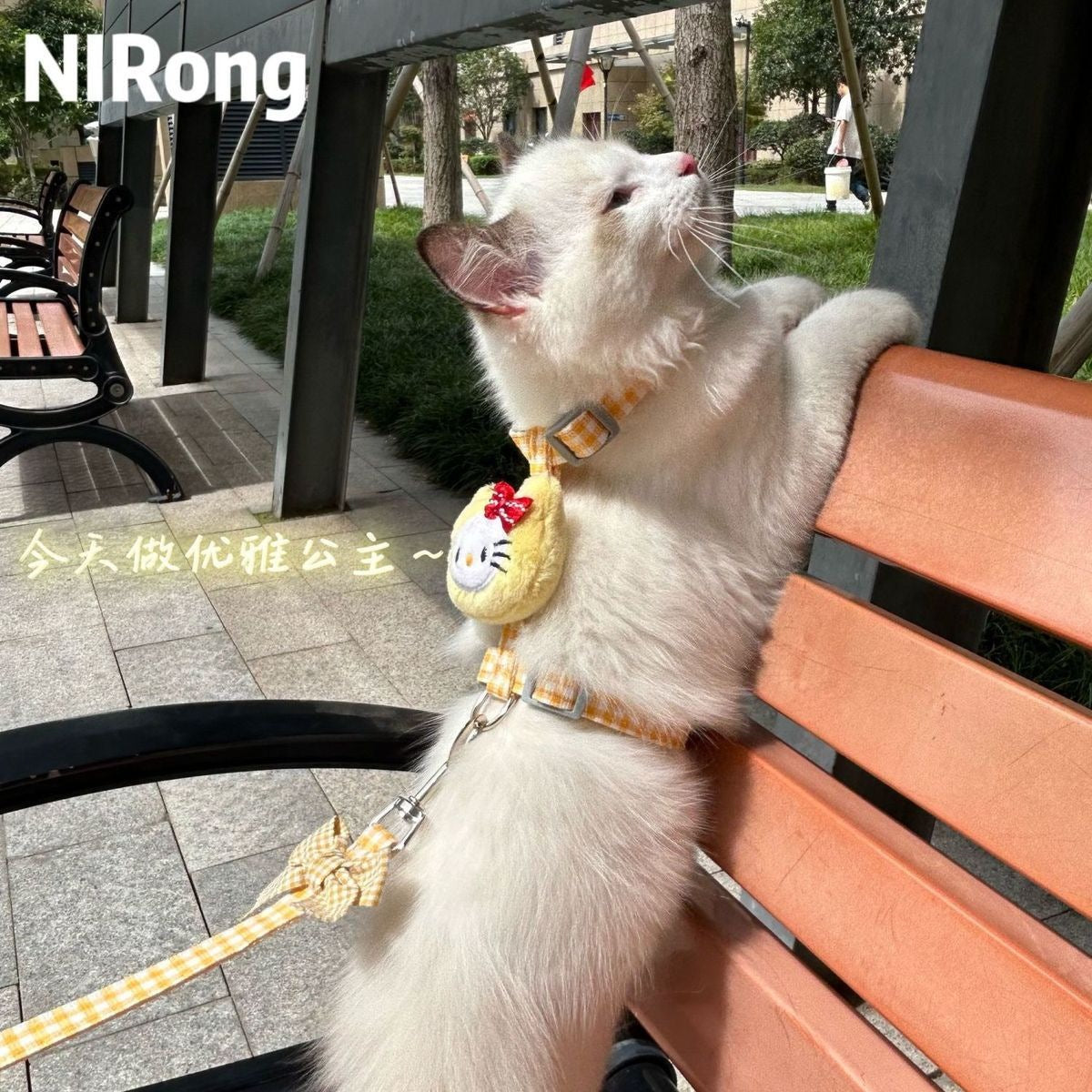メガ割猫牽引ロープ工字型猫チェーン猫首輪猫ロープ牽引ロープ猫ロープ犬ロープの散歩を防ぐ小型犬978