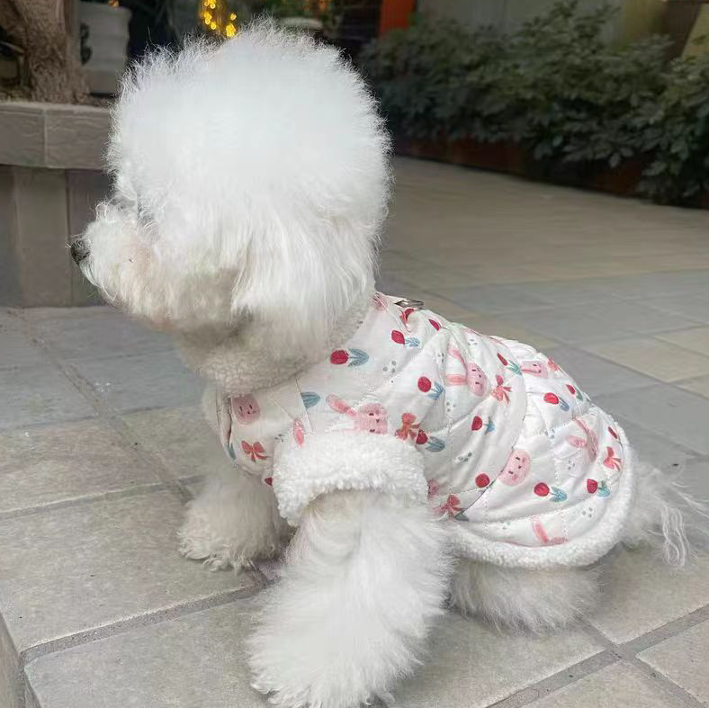 秋冬の犬服 テディボーミペットのコキシナレビーベア愛らしい 犬猫服秋冬服 パープル セーター 可愛らしい 暖かい野球服 冬アウター