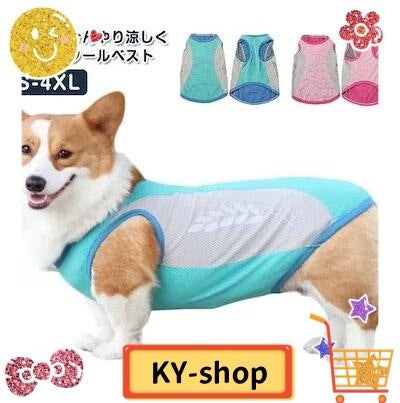 3日以内に出荷 明日まで値下げ ペットシーツ 薄型 ワイド スーパーワイド ペット用品 トイレシート 100枚 50枚 スピード吸収 ねこ うさぎ モルモット 使い捨て 期間限定オファー